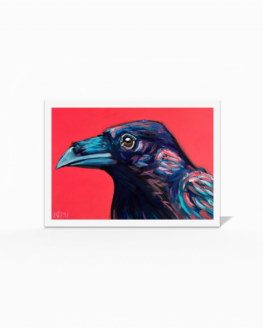 Brilliant Birds Greeting Card Collection