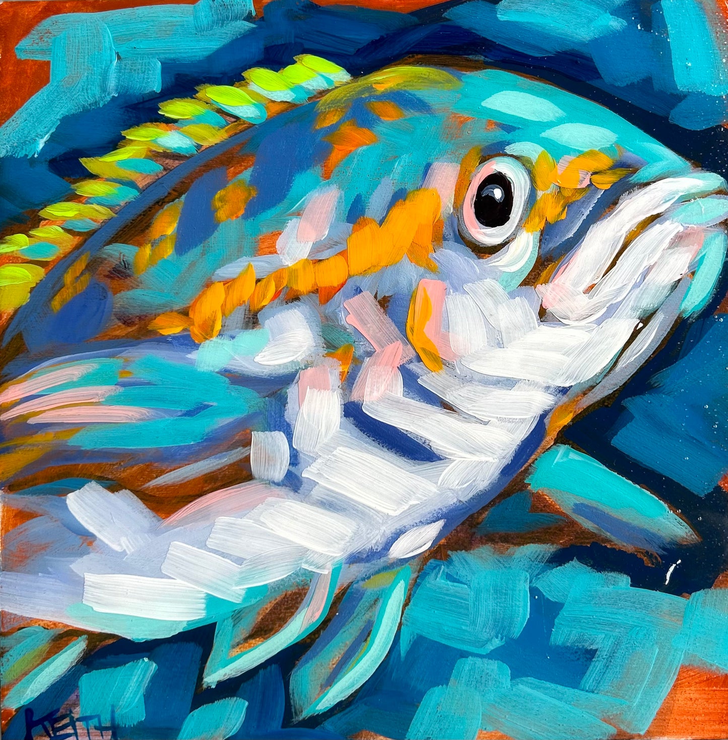 Tropical Fish Study