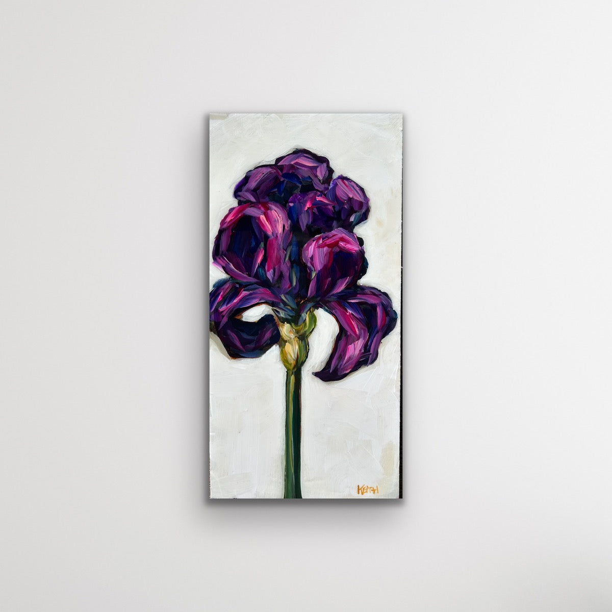 Iris