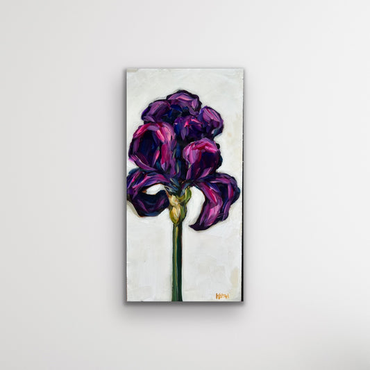Iris