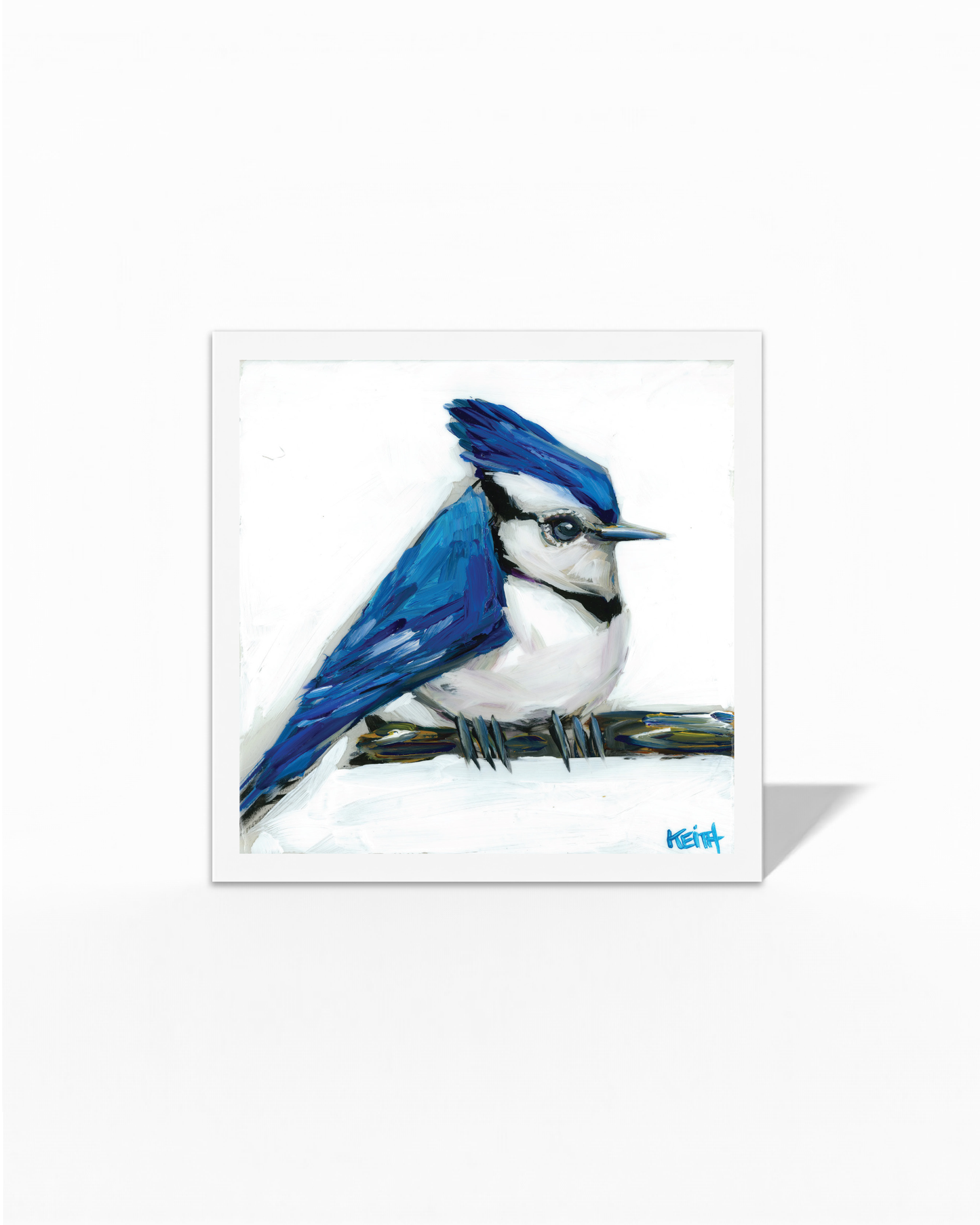 Brilliant Birds Greeting Card Collection