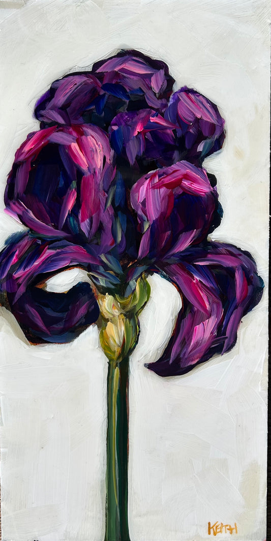 Iris