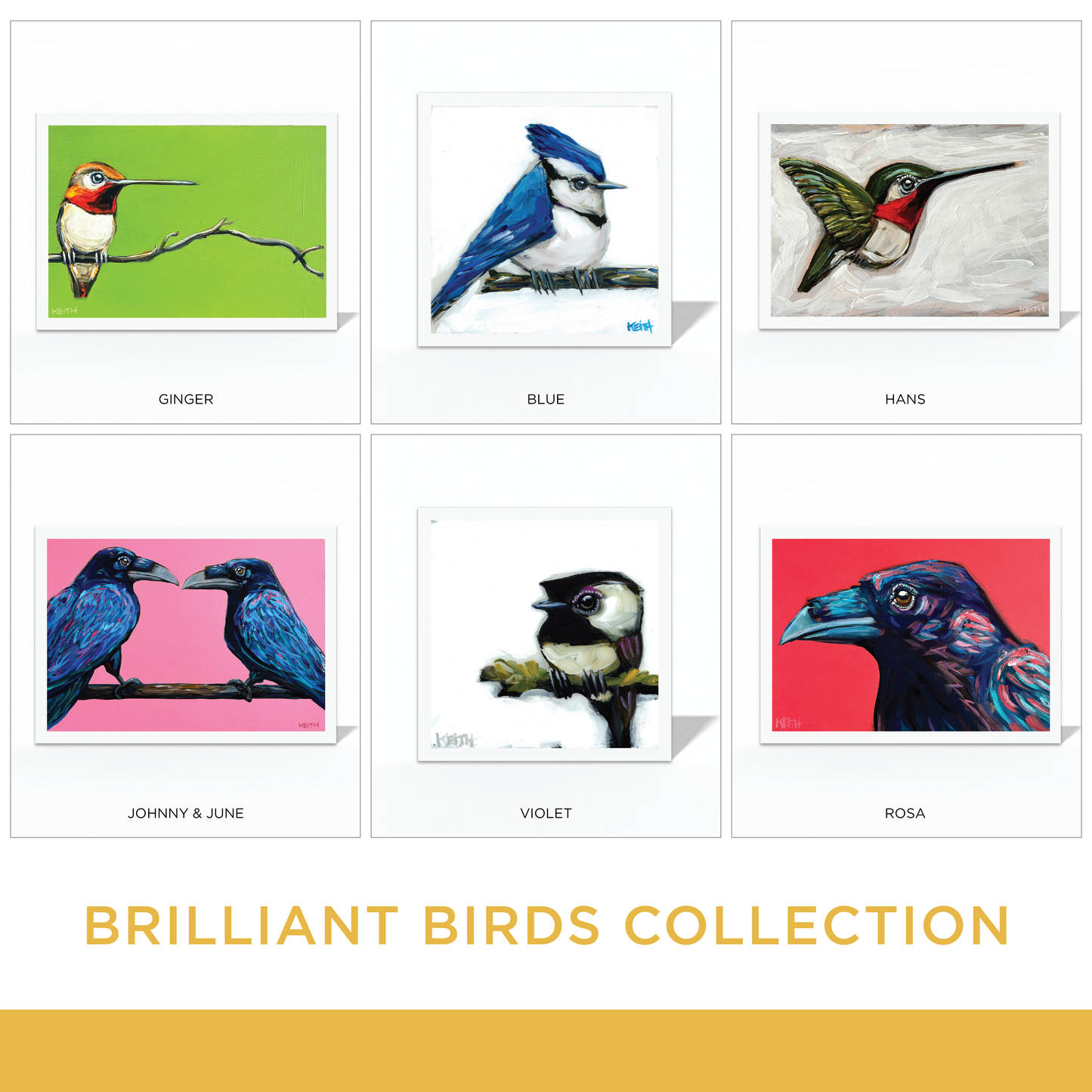 Brilliant Birds Greeting Card Collection