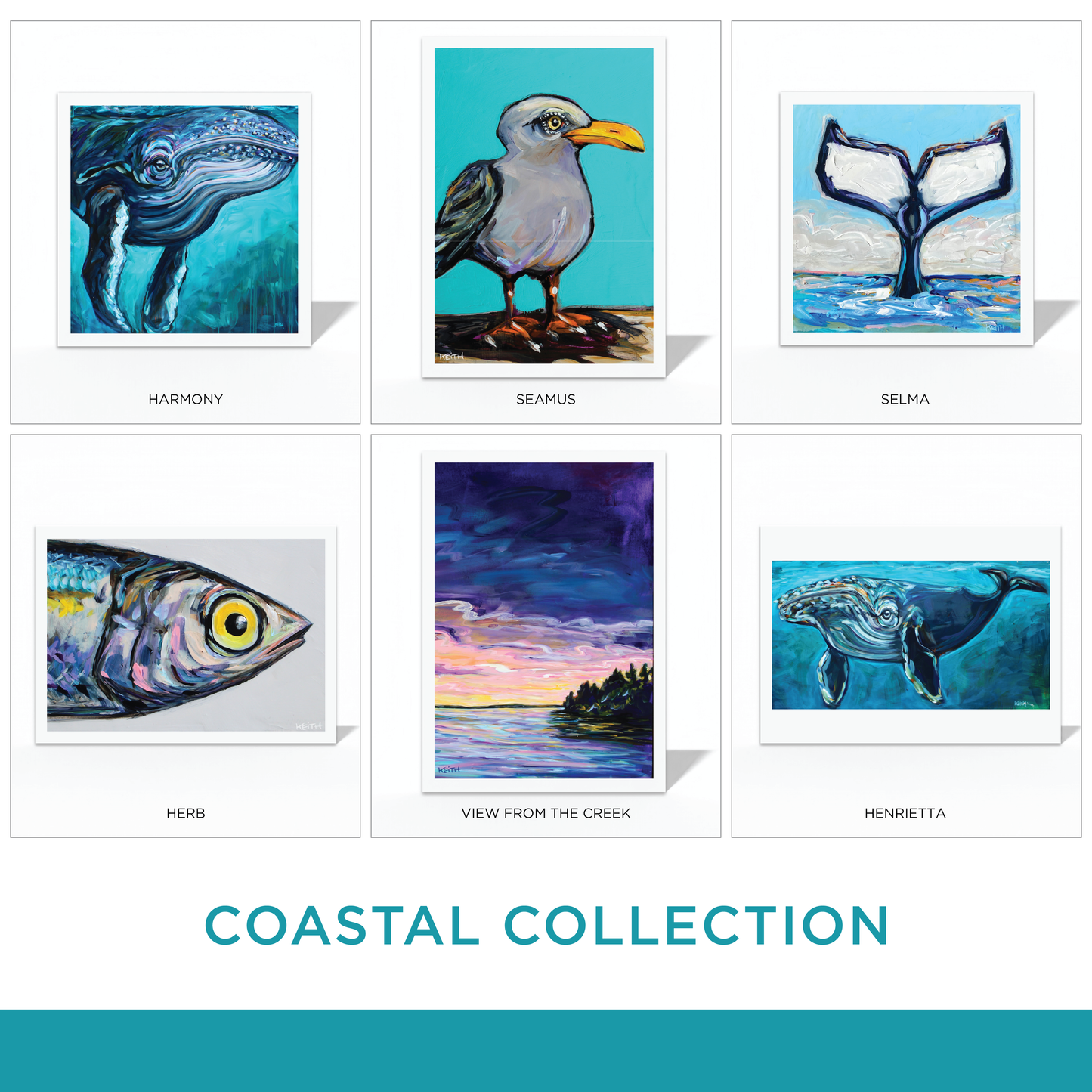 Coast Collection Greeting Card Pack