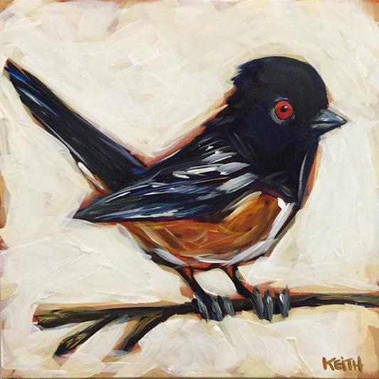 Todd the Spotted Towhee